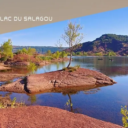 La Palmeraie - Piscine Vue Golf Juvignac